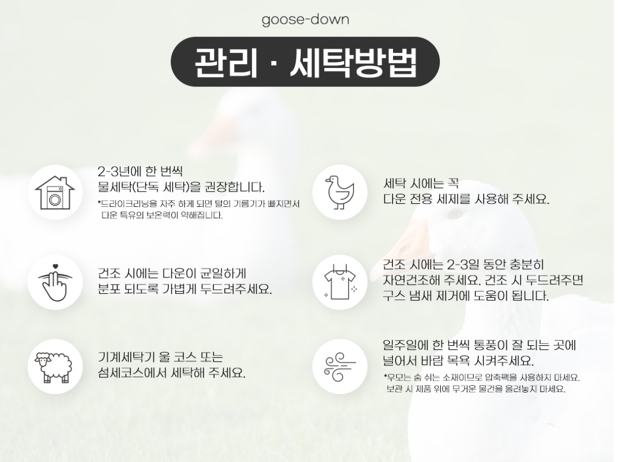 구스 상세.png